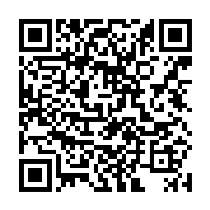 这个小家伙现如今在我手中不会比一只小老鼠强大多少二维码生成