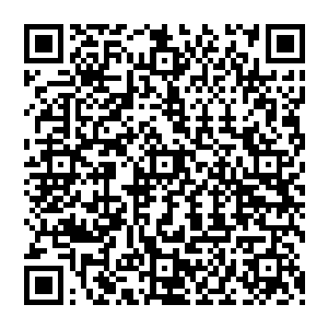 这个年轻人肯定是她请来的……虽然曲振航打心眼里不相信这个年轻人可以救得了自己的母亲二维码生成