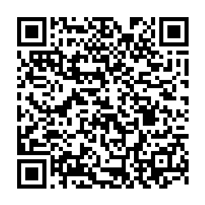 这个提议得到了同样不愿意再在外面吃饭的厉倾城和米紫安的认可二维码生成