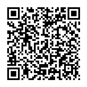 这个文化小区是一个无论居住环境还是物业管理都很成熟的一个小区二维码生成