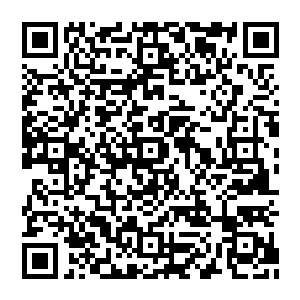 这个时候丰州地委行署愿意将这一片堪称丰州市地理位置最优越的区域拿出来与长风厂和北方厂的干部职工们共享二维码生成