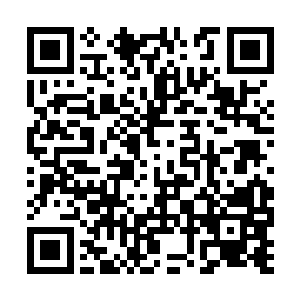 这个时候几大世家的人和姜家的人都在蛮荒森林中二维码生成