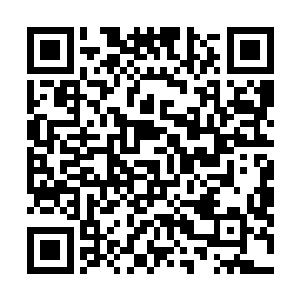 这个时候她百分之百确定凤小熊和凤君曜这对父子在一起二维码生成