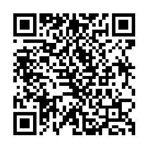 这个时候许琴扬已经带着许家修士向着许家族地的方向疾飞而去二维码生成