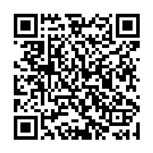 这个构想实质是也表明陆为民已经在考虑新一届行署二维码生成