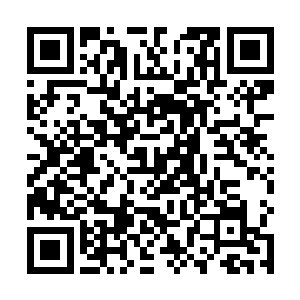 这个样子的凌兰让老导师再也没办法维持住原本的严厉二维码生成