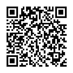 这个游戏id全是韩文的家伙还站在了文森他的塔前跳舞嘲讽二维码生成
