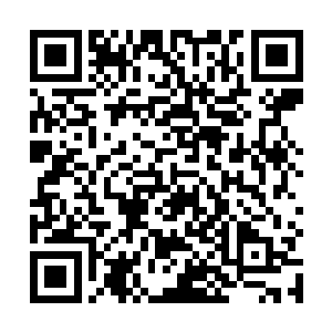 这个猎杀者却明显是不打算再给秦方隐藏起来的机会了二维码生成