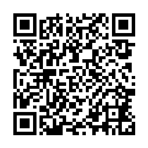 这个男人果然如同传言中的一般可以将所有的宠爱都给夜染二维码生成