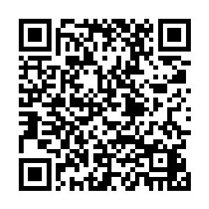 这个神秘组织的成员出现时总是戴着一张上古仙人的面具二维码生成