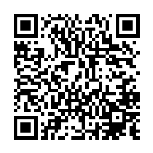 这个肥得和皮球一样的生物就是我们可爱无敌的神龙小胖二维码生成