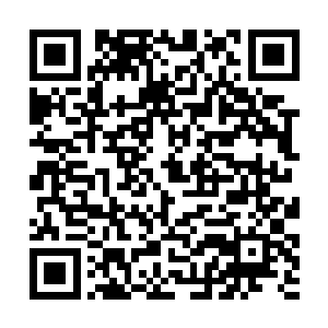 这个蓓珊尼的手脚还算干净……有着培养的价值……二维码生成