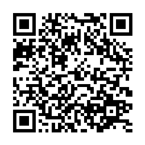 这个话题顺理成章成为了如今帝国讨论度第一的话题二维码生成