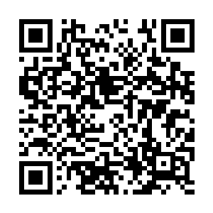 这个还是自己第一次谈条件这么没有底气和把握呢二维码生成