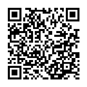 这个骨承应该是炼骨族某位伟大的存在贡献了自己的躯体二维码生成