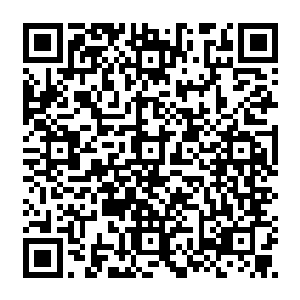 这个黑炮就在这么短短数息的时间里面竟然便已经由天尊提升到了六转大帝的实力二维码生成