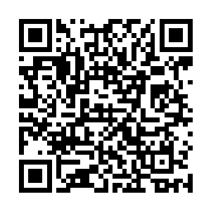 这主宰小世界往往可以堂而皇之的出现在我们的世界中二维码生成