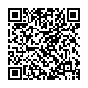 这么直白朴实霸气测漏的协议条款好些人活了一辈子都没见过二维码生成