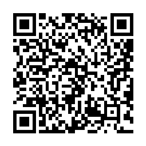 这么近的距离此刻也可以肆无忌惮的查探的对方的情况了二维码生成