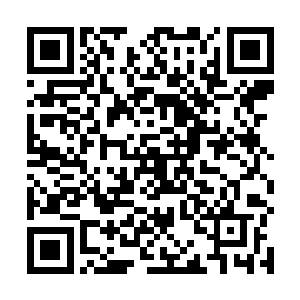 这也代表了国内书画界中青年画家最高艺术水平的体现二维码生成