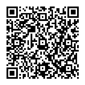 这也再次证明了如今玛丽亚的天后地位――她在全球范围内的影响力也足以和惠特尼二维码生成