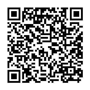 这也完美解释了为什么这个不到30岁的年轻男人能掌握有道集团内部的监察机器二维码生成