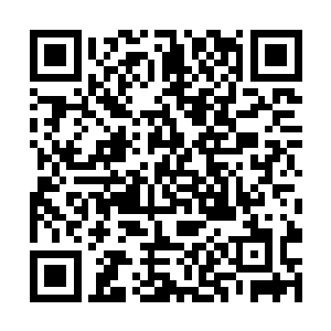 这也就意味着雨果可以拿到税前九百七十五万的分红二维码生成