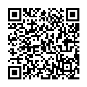 这也就意味着雨果在某种程度上已经成为了北美代言人二维码生成