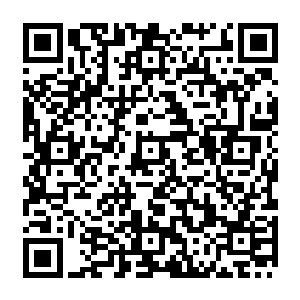 这也就注定了灵脉的高峰与低谷会有一定的距离……一般在这个洞窟这么大一点的地盘内二维码生成
