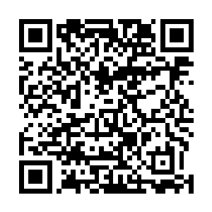 这也得益于秦宇在先前用了大半的念力护住这五株冰晶藤二维码生成