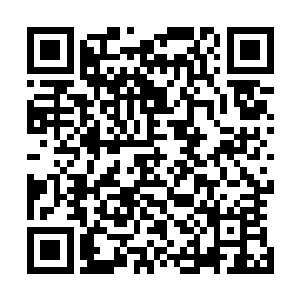 这也是为什么古往今来我们龙族一直都霸占着第一位的原因二维码生成