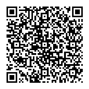 这也是为何妖族不能称霸整个修真界的原因 否则的话 以人族那孱弱的身体 又怎能挡得住妖族的铁蹄二维码生成