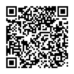 这也是云梦之境少有的几个掌握在除了四大家族之外其他家族手中的府城二维码生成