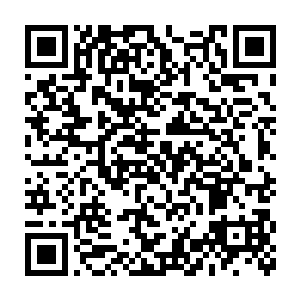 这也是从另一个角度证明了刚才对他们的族人下手的是另有其人的二维码生成