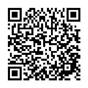 这也是他为什么费心费力要获取完整的禁制枢纽的原因二维码生成