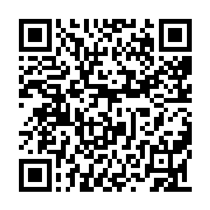 这也是因为先皇和太后守护下的江山传承的原因二维码生成