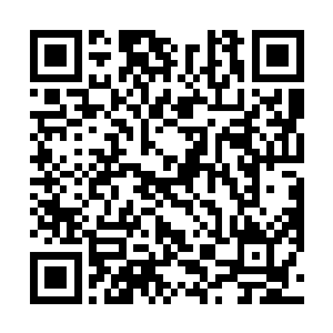 这也是杨锐的论文能在同一期占最多的篇幅的主要原因二维码生成