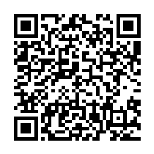 这也是沈喜臻的初衷――让他们认识到每个职位的重要性二维码生成