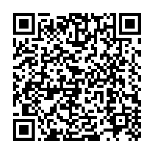 这也是节目到目前为止能够持续保证强大神秘感和吸引力的原因之一二维码生成