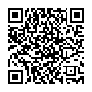 这也真实反映出了不同的群体对杜克这个导演完全不同的看法二维码生成