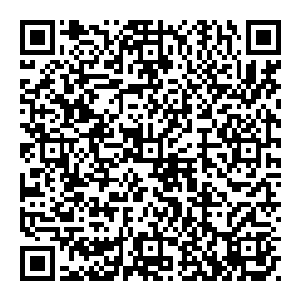 这也算是他的先天性优势 若是寻常的修士进入这里 当失去法力之后 就好比失去了牙齿和爪子的老虎 再也沒了优势二维码生成