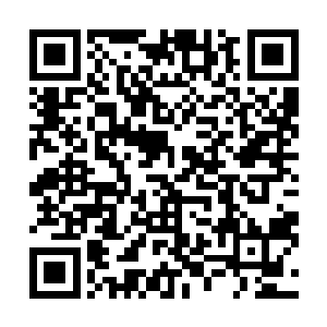 这也让布拉德真正意义上第一次触摸到了一线阵容的边缘二维码生成