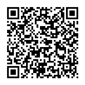 这五只魔化海族跟之前被楚旬所斩杀的那只蝙蝠类海族外形一模一样二维码生成