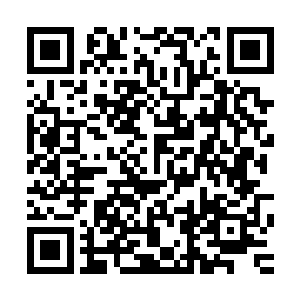 这些九天玄仙后期修士都将目光聚焦在和他们同一境界的修士二维码生成