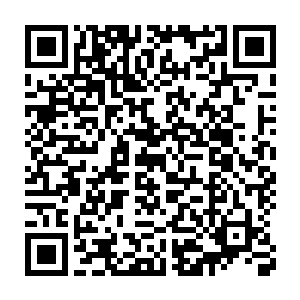 这些亏损基本上就把政府当初的投入和无偿的土地划拨给全数吞噬了二维码生成