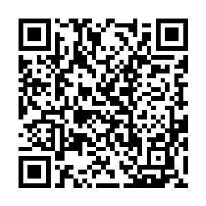 这些人一定会立即用自己的身体挡在阮有林的身前二维码生成