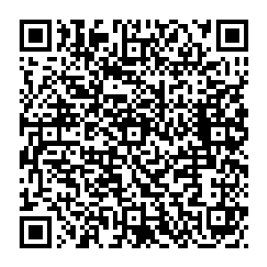 这些人不知道的是　赵纯良为了不错过任何的一个人才　直接让图贺安排他进了基础区　然后从基础区开始搜寻二维码生成