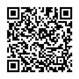 这些人全都是仿佛为了看一看传说中的人到底长什么样一样二维码生成