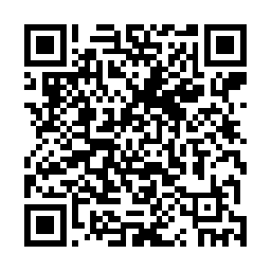 这些人的职能……当初可是管理了上亿人口的纷乱城……二维码生成