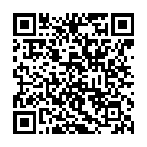 这些仙器几乎是能够将五行联盟的实力再次提升起来二维码生成